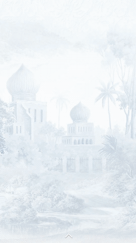 OVERLAY 01