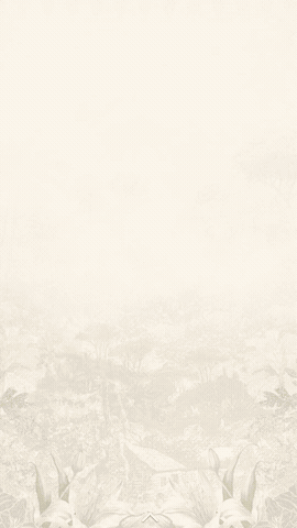 OVERLAY 02