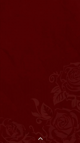 OVERLAY 19