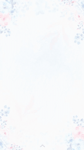 OVERLAY 24